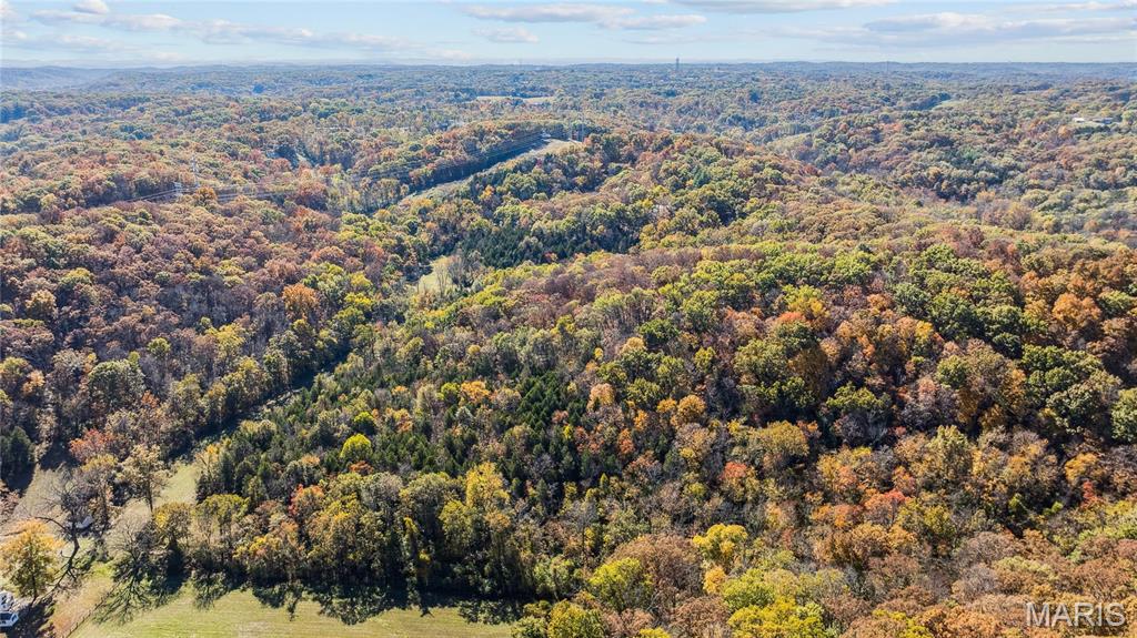 3476 Bassett Road Pacific, MO 63069 - Photo 9 of 18