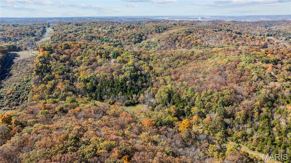 3476 Bassett Road Pacific, MO 63069 - Photo 10 of 18