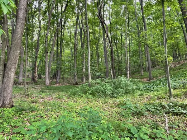 $89,500 | 4-5 & 6 Anderson Hill Lane, Boyceville, WI 54725