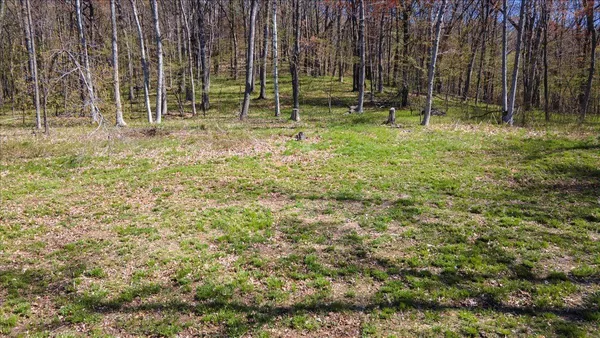 $89,500 | 4-5 & 6 Anderson Hill Lane, Boyceville, WI 54725