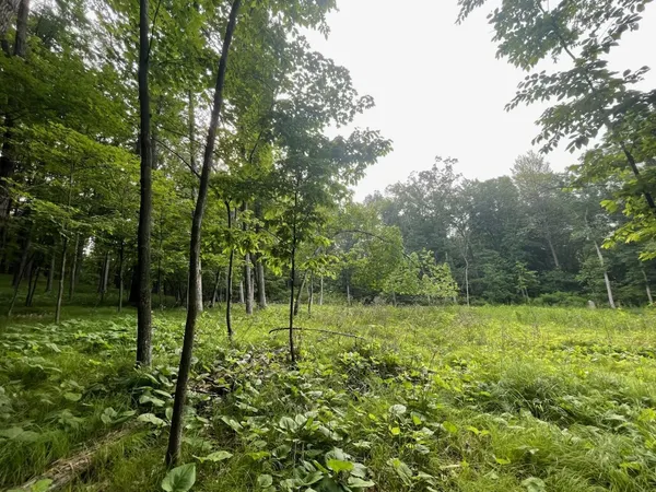 $89,500 | 4-5 & 6 Anderson Hill Lane, Boyceville, WI 54725