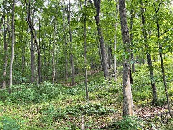 $89,500 | 4-5 & 6 Anderson Hill Lane, Boyceville, WI 54725