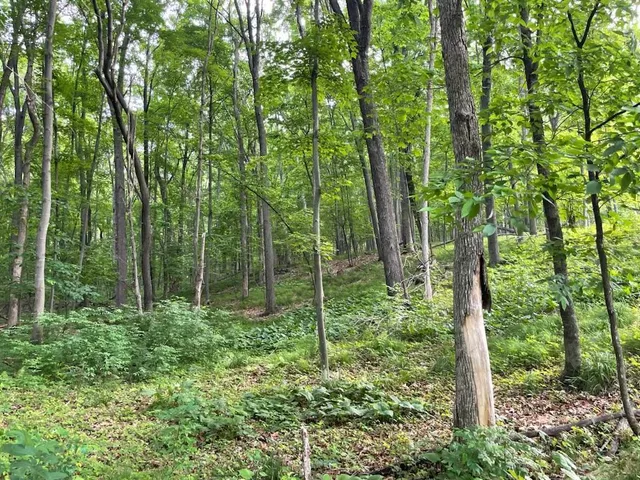 $89,500 | 4-5 & 6 Anderson Hill Lane, Boyceville, WI 54725