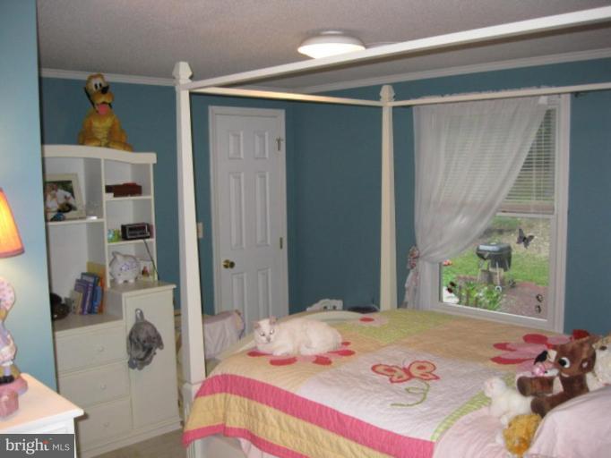 233 Moritz Road Orrtanna, PA 17353 - Photo 5 of 21 Bedroom #2
