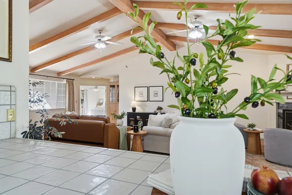 a living room with furniture flowerpot and a chandelier