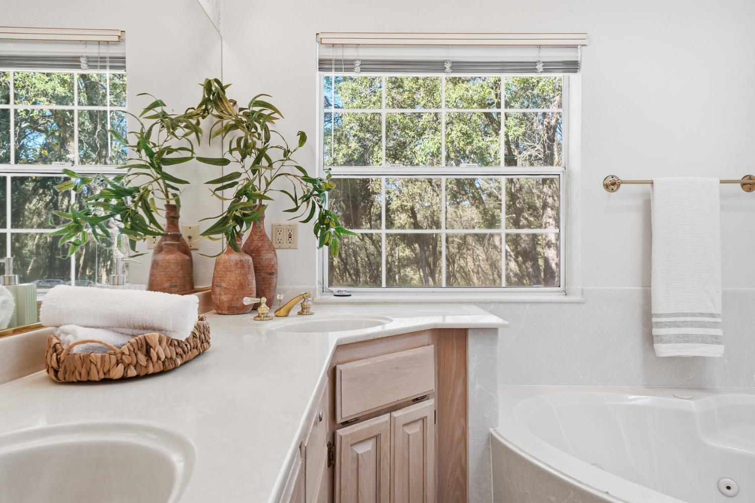 18395 Climax Road Jackson, CA 95642 - Photo 46 of 71