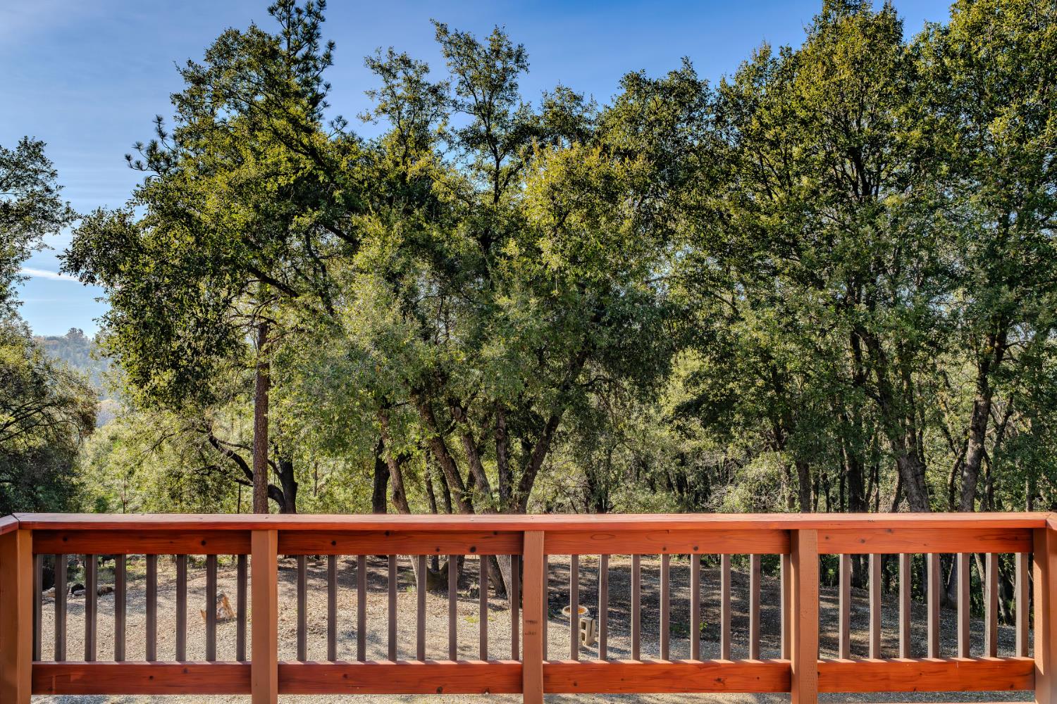 18395 Climax Road Jackson, CA 95642 - Photo 8 of 71