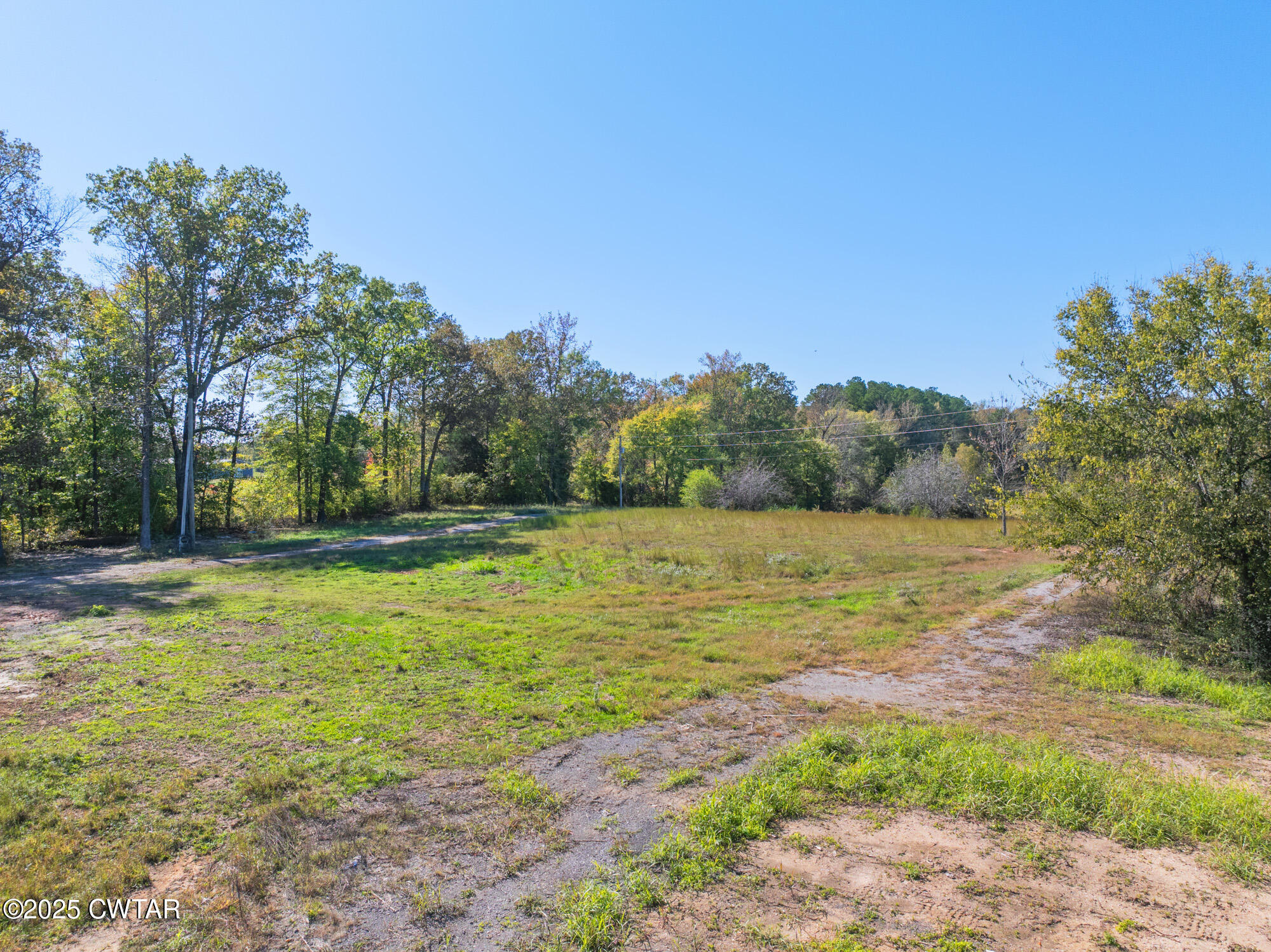 490 Maxwell Road Scotts Hill, TN 38374 - Photo 7 of 10 a view of a yard with a house