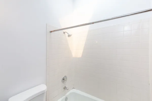 a bathroom with a shower and a toilet