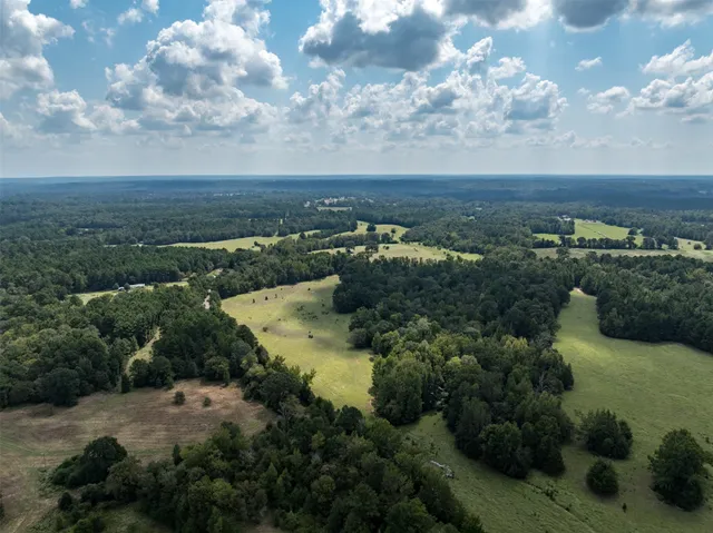 an aerial view of houses covered in trees