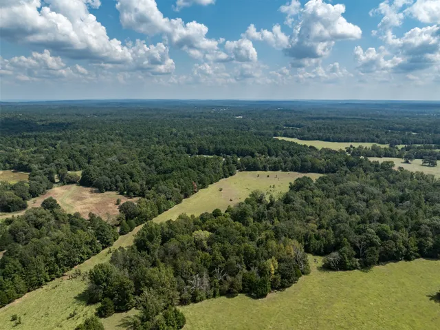 a view of a city with lush green forest