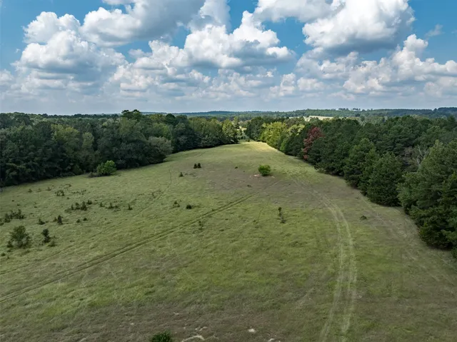 a view of a swimming pool with a yard