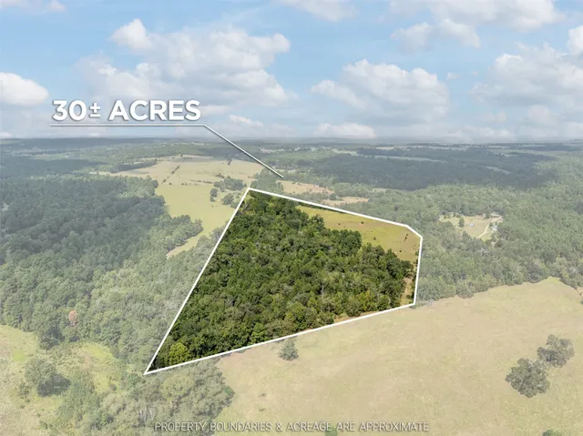 $315,000 | 5 Acr 153, Palestine, TX 75801