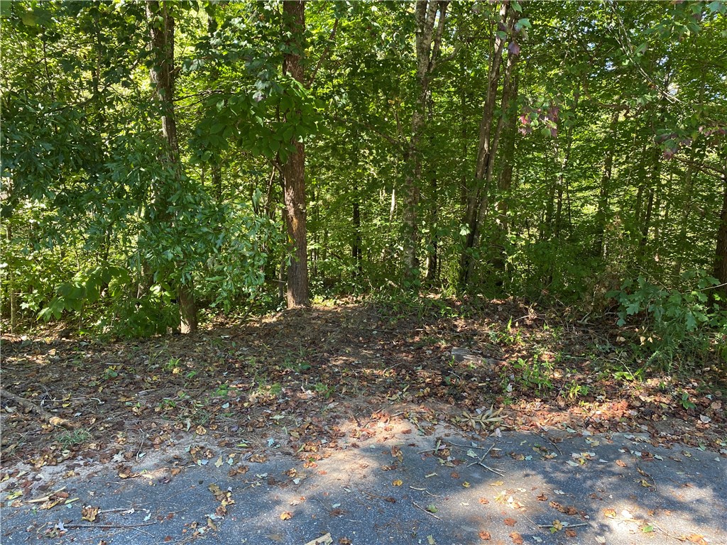 0 Fox Run Road Walhalla, SC 29691 - Photo 3 of 3 Gallery Image 3