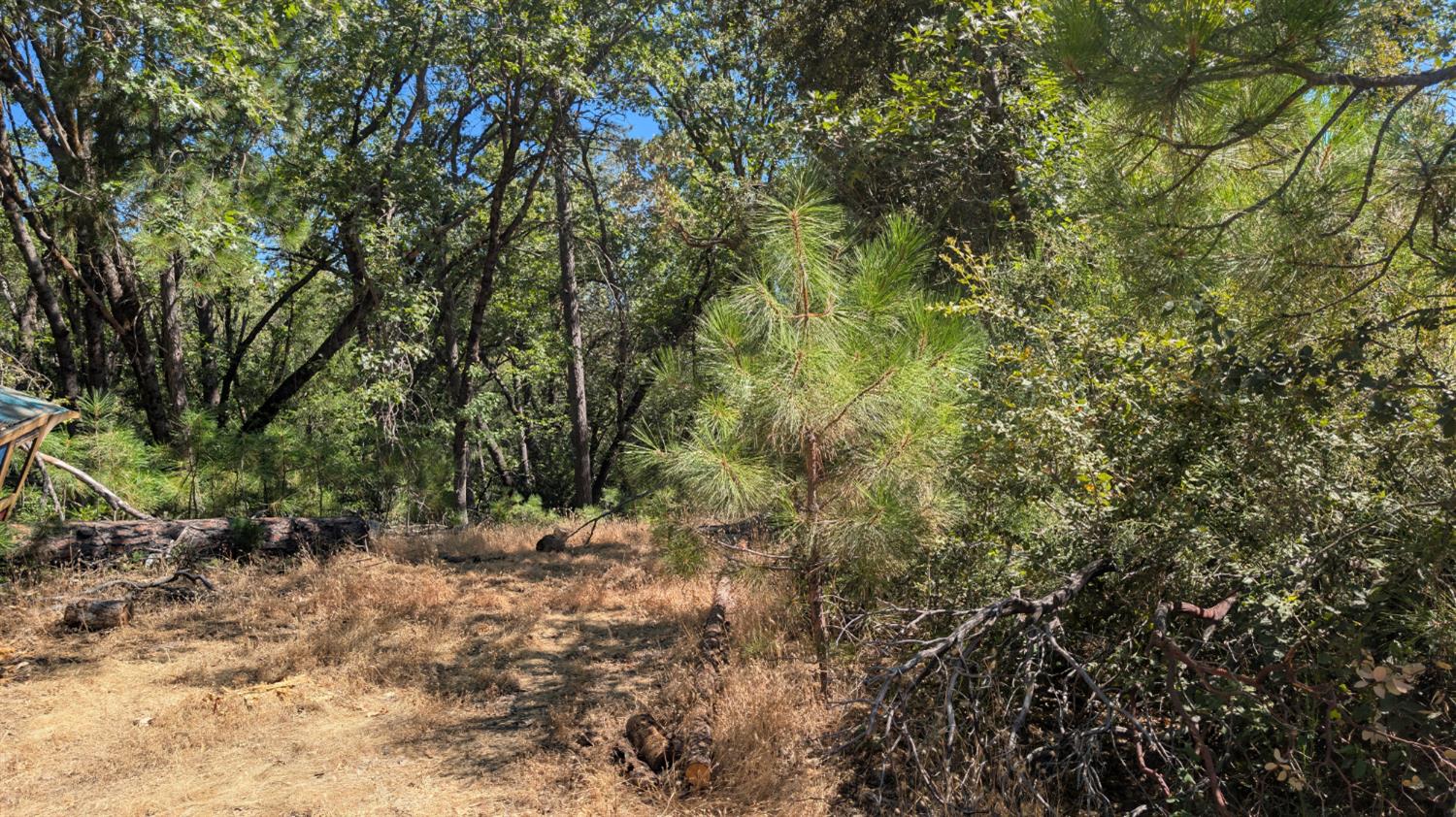 0 South Manzanita Hills Road Colfax, CA 95713 - Photo 13 of 15