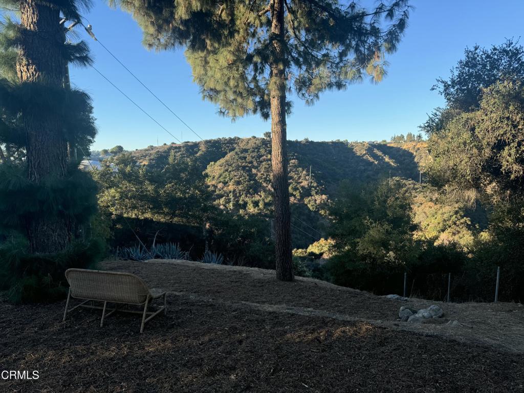 4119 Aralia Road Altadena, CA 91001 - Photo 10 of 10 a view of a backyard with plants and trees