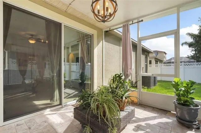 a potted plant in front of a glass door