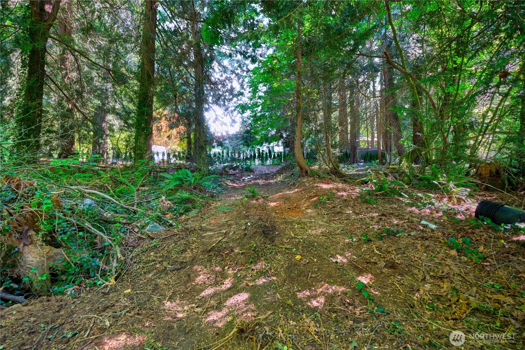1885 Province Road Point Roberts, WA 98281 - Photo 11 of 16