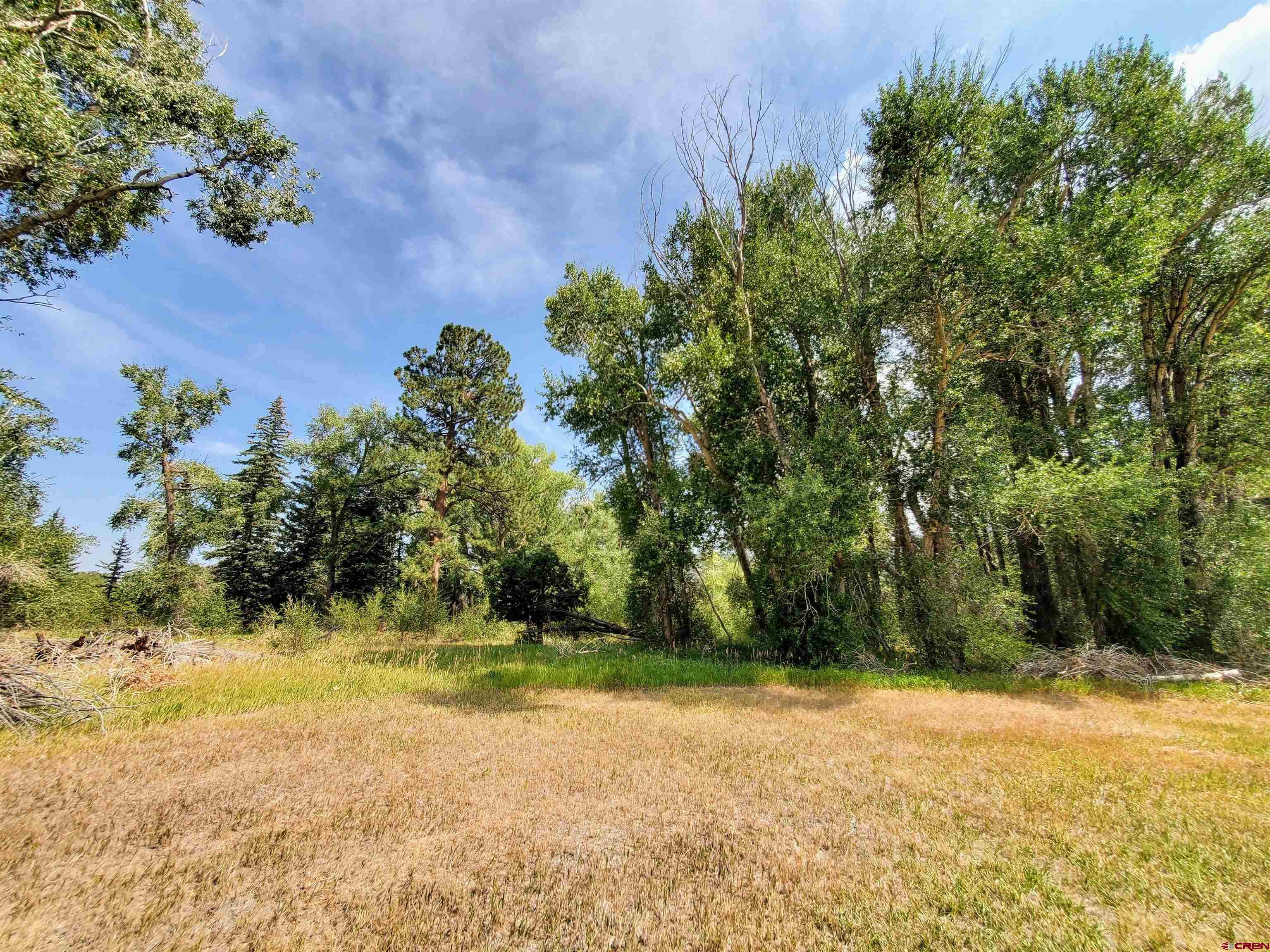 20 East Riverside Court South Fork, CO 81154 - Photo 12 of 20 a view of a yard with large trees