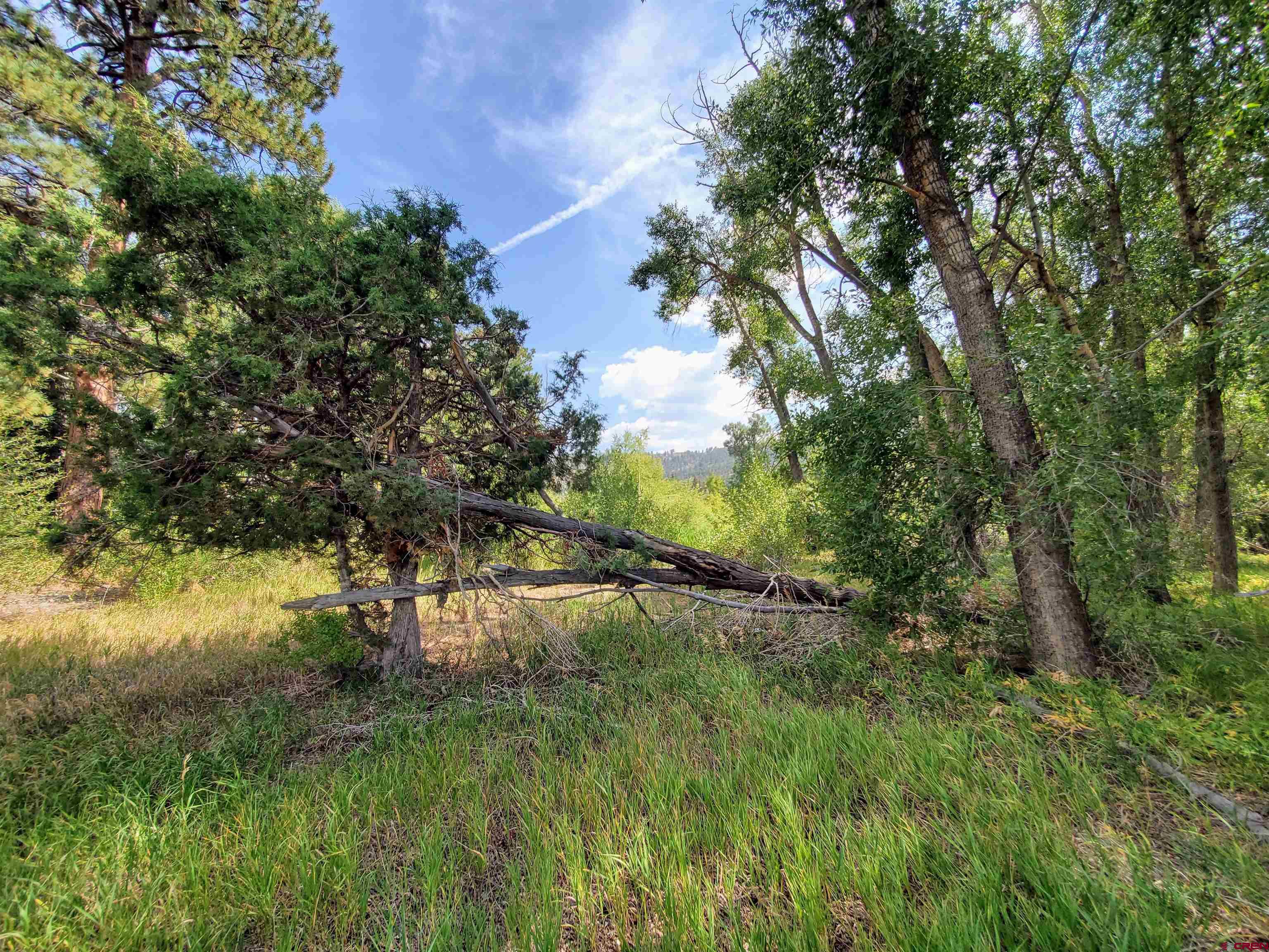 20 East Riverside Court South Fork, CO 81154 - Photo 8 of 20 a view of outdoor space and yard