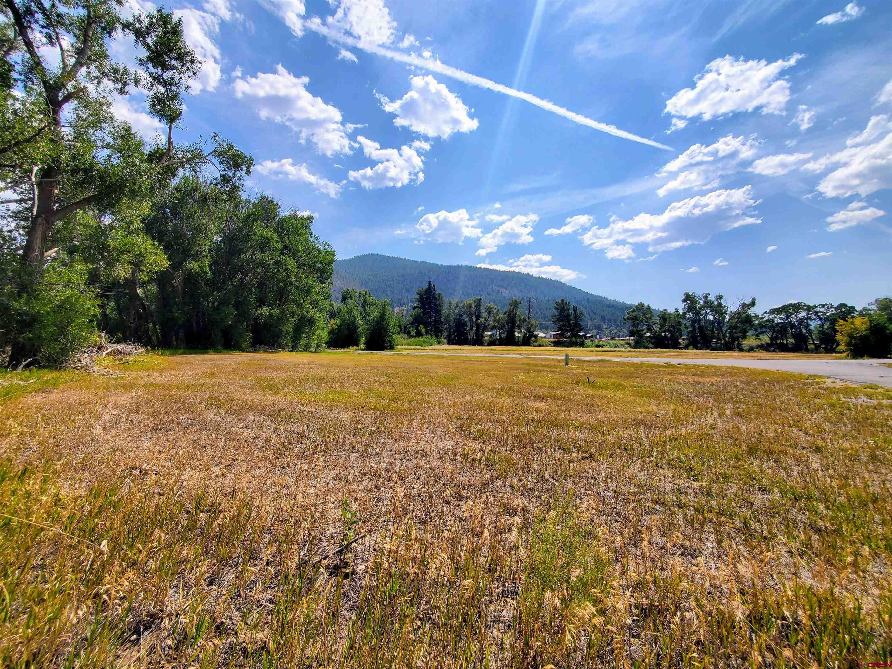 20 East Riverside Court South Fork, CO 81154 - Photo 10 of 20 a view of an outdoor space and yard