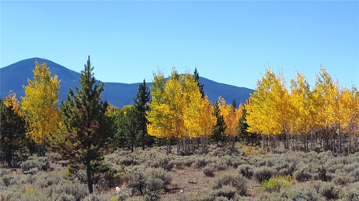 12200 Ute Pass Road Silverthorne, CO 80498 - Photo 1 of 25 Gallery Image 1