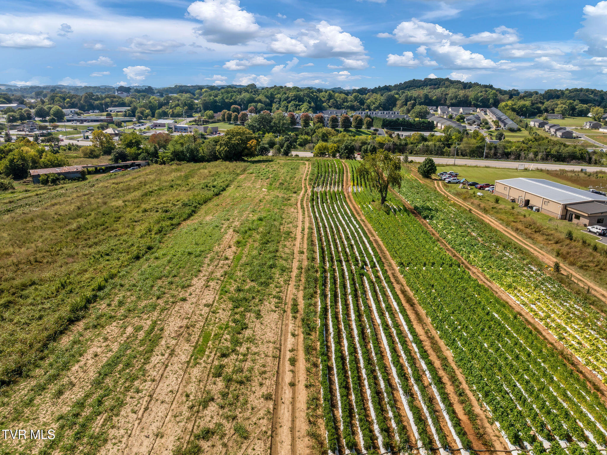 370 Roy Martin Road Johnson City, TN 37615 - Photo 16 of 25 DJI_0178