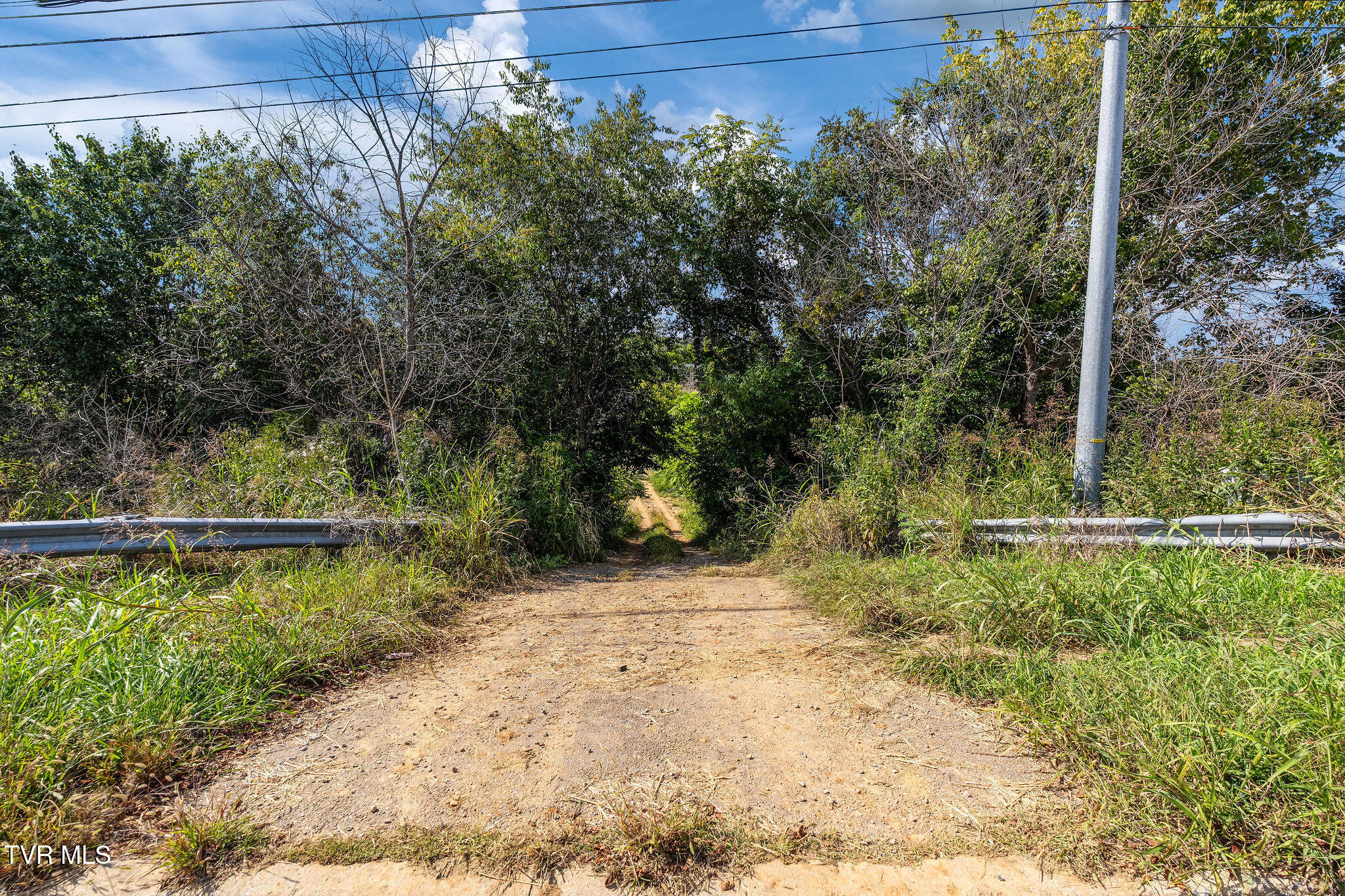370 Roy Martin Road Johnson City, TN 37615 - Photo 22 of 25 DSC09397