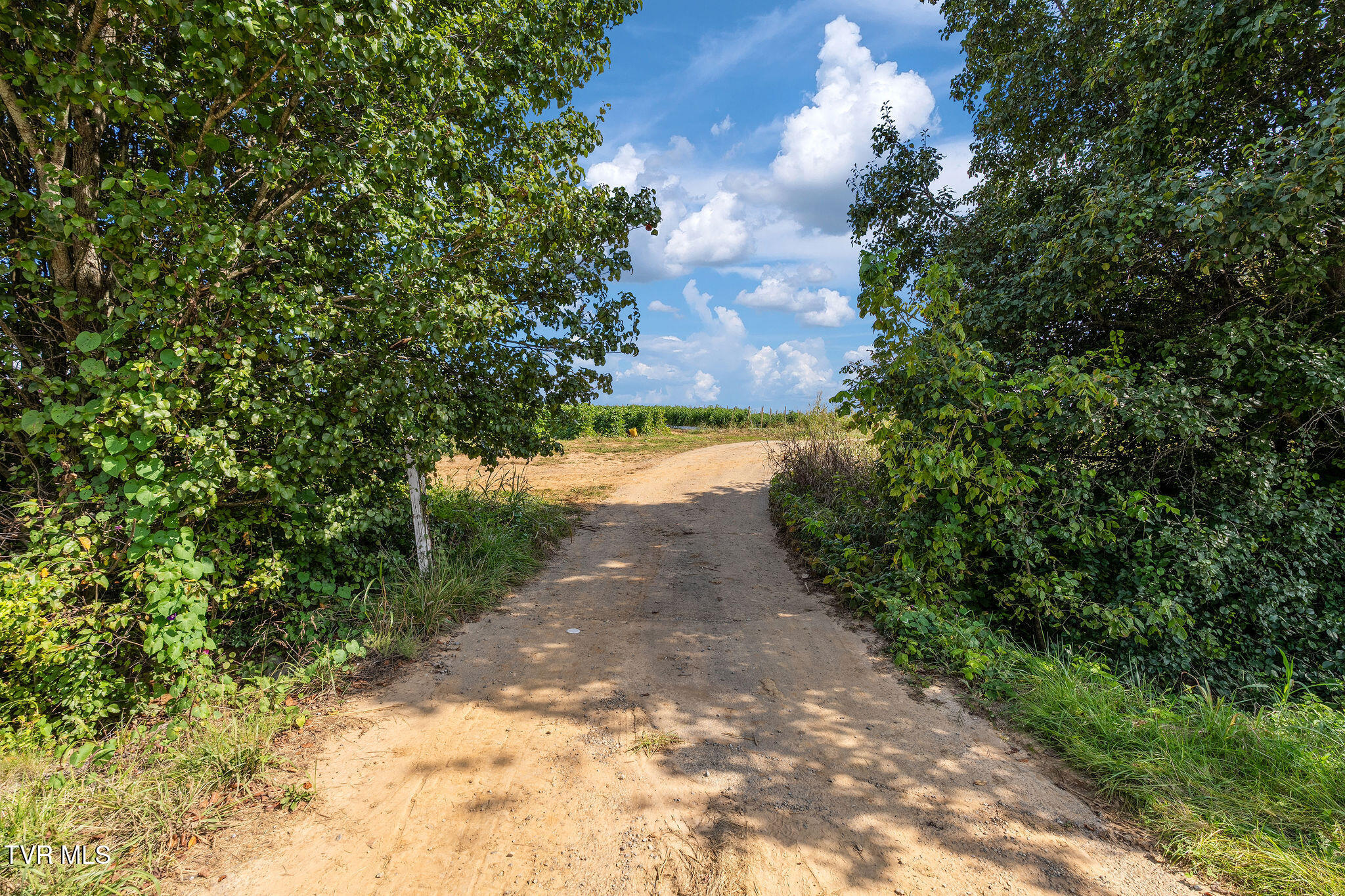 370 Roy Martin Road Johnson City, TN 37615 - Photo 23 of 25 DSC09398