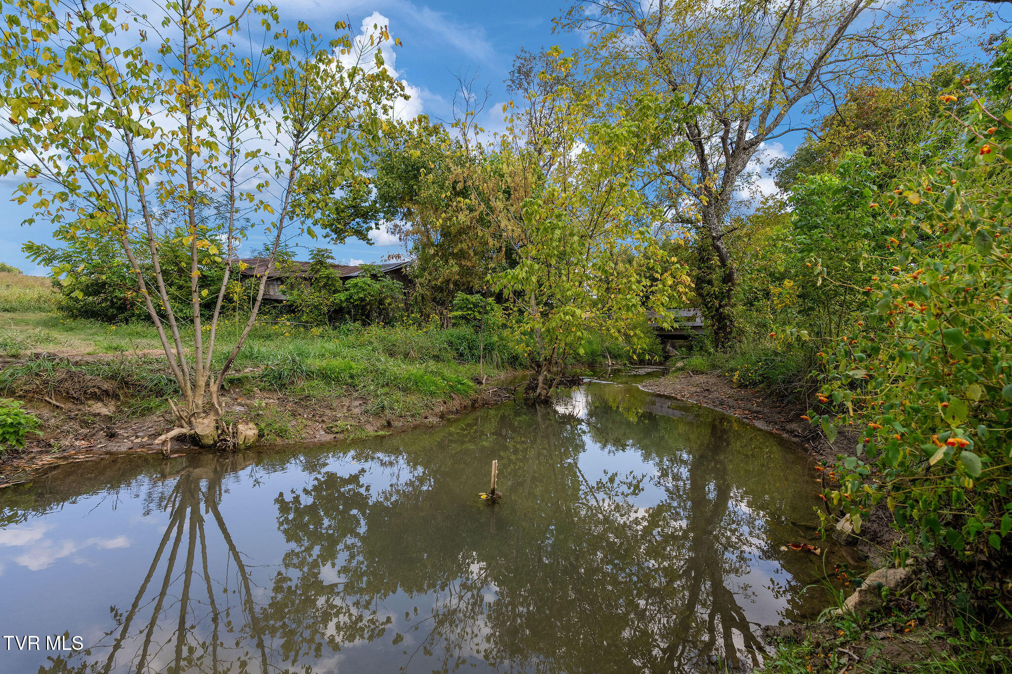 370 Roy Martin Road Johnson City, TN 37615 - Photo 25 of 25 DSC09400