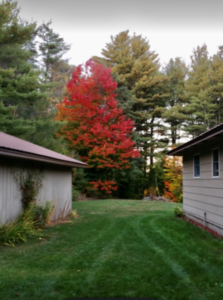 3690 State Rte 3 Saranac, NY 12981 - Photo 27 of 35 Gallery Image 27