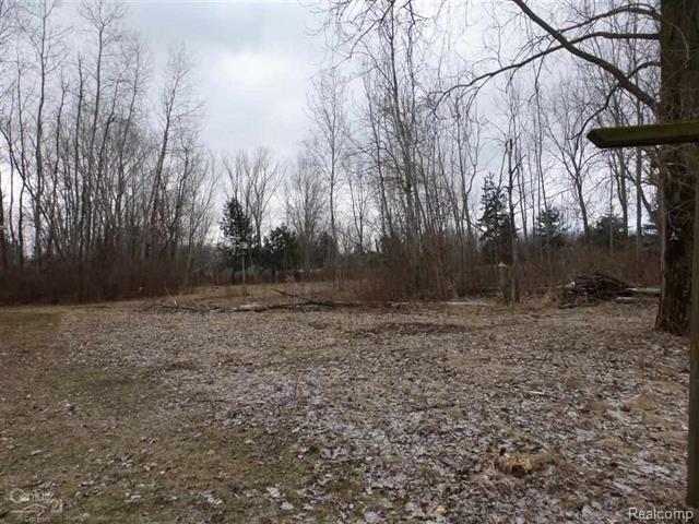 5535 Richards Road Marlette, MI 48453 - Photo 19 of 19 19.JPG