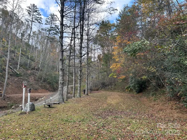 a view of a bench in the backyard