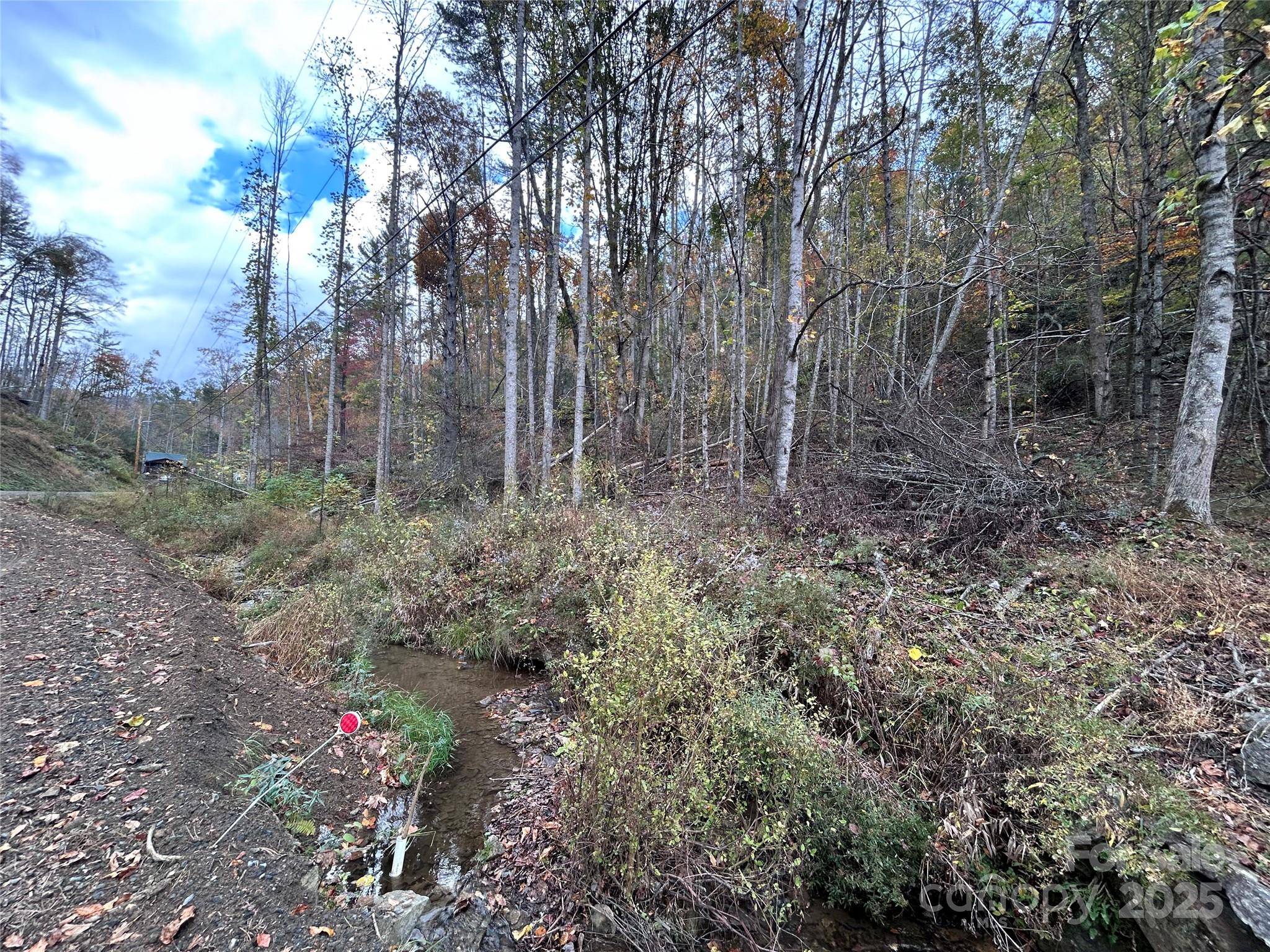 362 Melton Branch Road, Unit A1A6 Bakersville, NC 28705 - Photo 29 of 30 a view of a forest with large trees