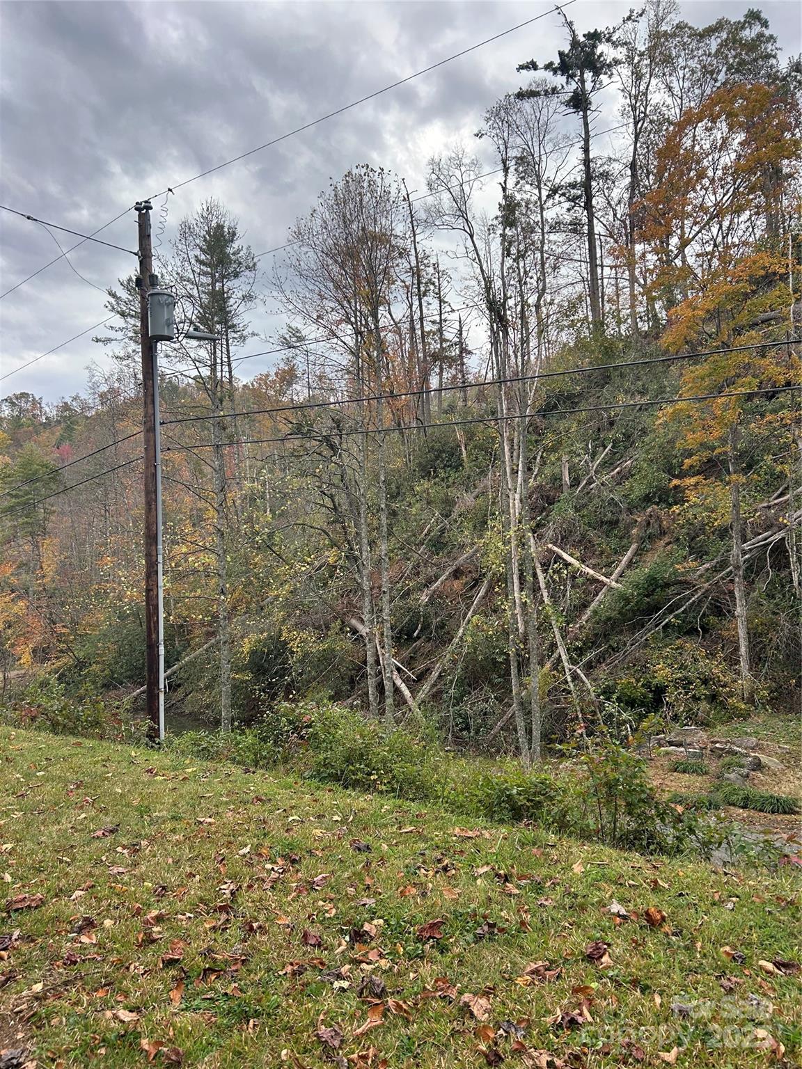 362 Melton Branch Road, Unit A1A6 Bakersville, NC 28705 - Photo 5 of 30 a view of a forest