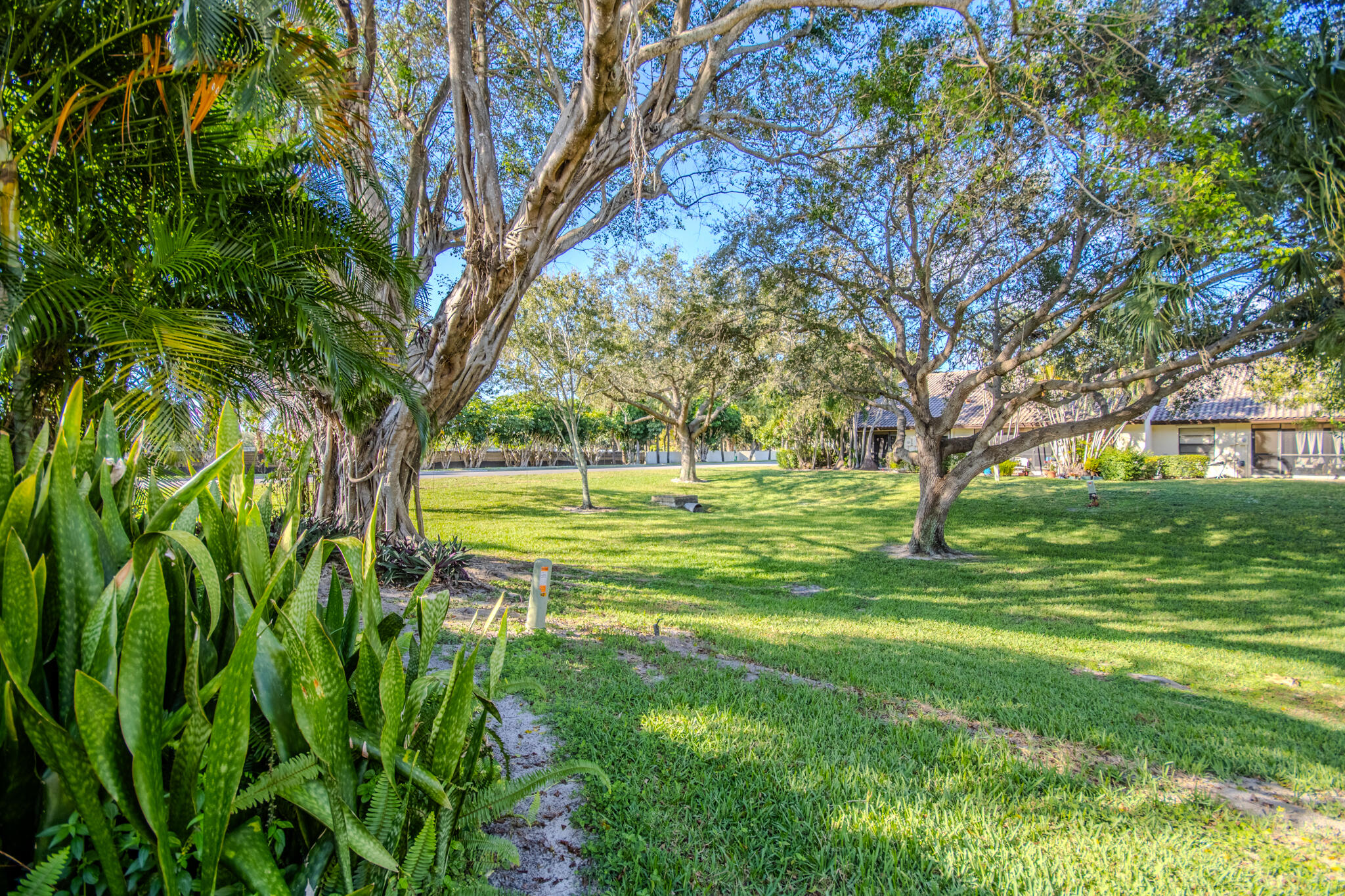 427 Cottonwood Place Boca Raton, FL 33431 - Photo 17 of 30 a view of a park with large trees