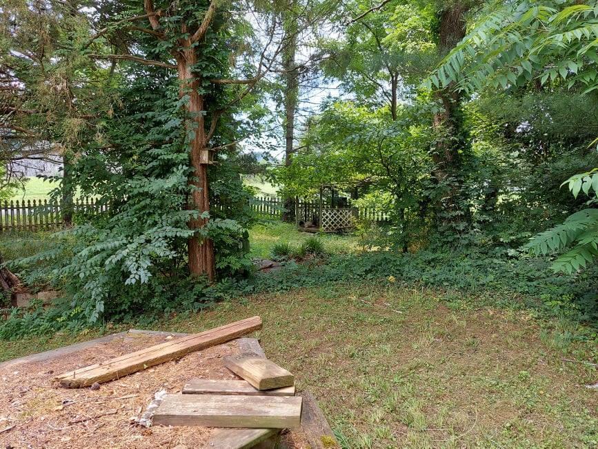 7901 Munsey Road Corryton, TN 37721 - Photo 14 of 43 16