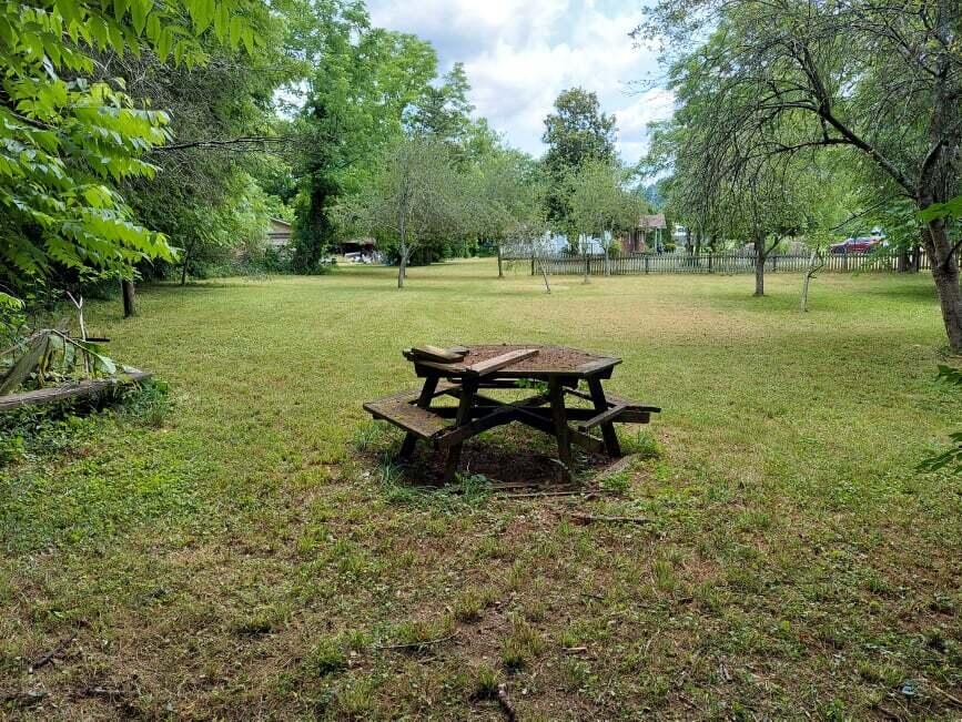 7901 Munsey Road Corryton, TN 37721 - Photo 17 of 43 19