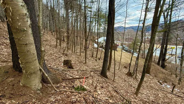 $275,000 | 806 Highway 15, Johnson, VT 05656
