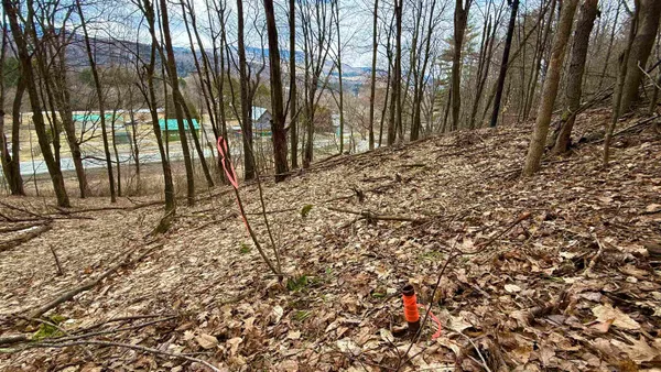 $275,000 | 806 Highway 15, Johnson, VT 05656