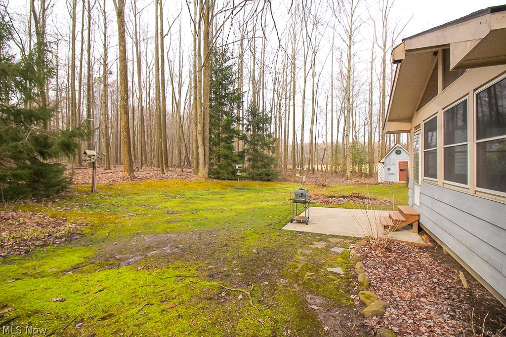 4912 Skinner Road Mantua, OH 44255 - Photo 29 of 35 Gallery Image 29