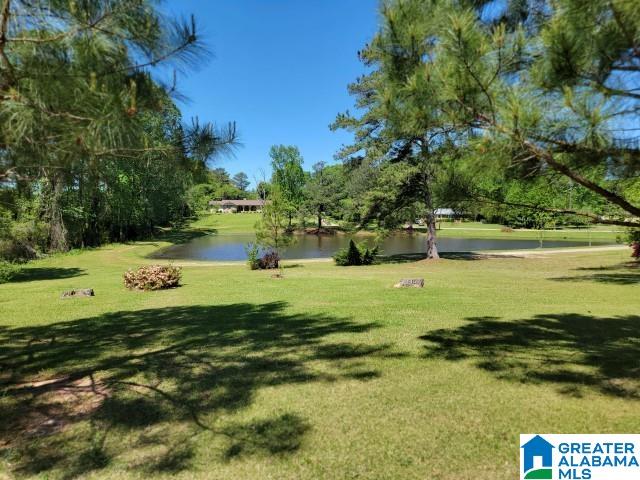 228 Gilham Road Roanoke, AL 36274 - Photo 5 of 17 Gallery Image 5