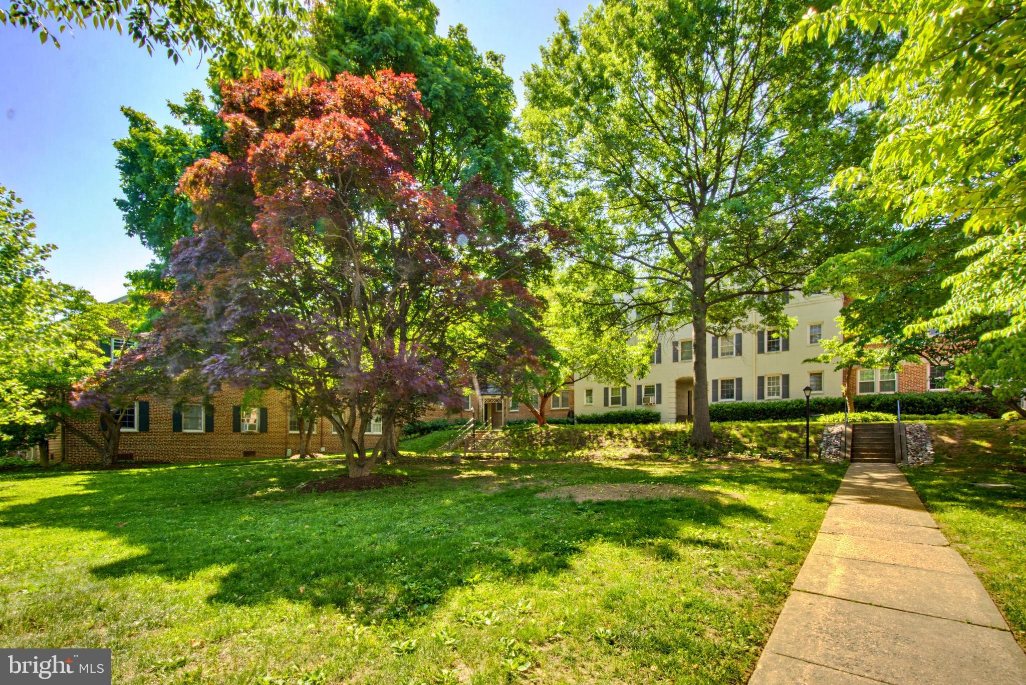2214 Colston Drive, Unit 201 Silver Spring, MD 20910 - Photo 36 of 43 a view of yard with swimming pool and green space