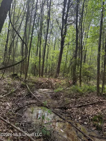 $60,900 | Old Jackson Road, De Kalb, MS 39328