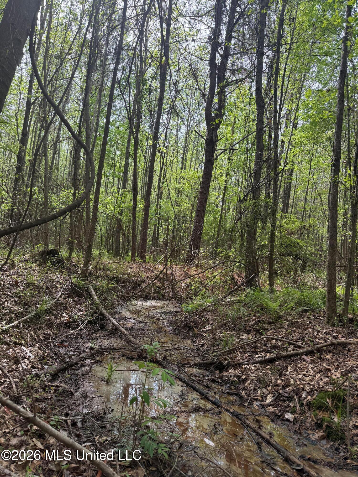 Old Jackson Road De Kalb, MS 39328 - Photo 11 of 17 Photo Apr 06 2026, 11 05 09 AM