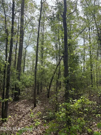 $60,900 | Old Jackson Road, De Kalb, MS 39328