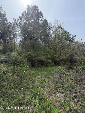 $60,900 | Old Jackson Road, De Kalb, MS 39328