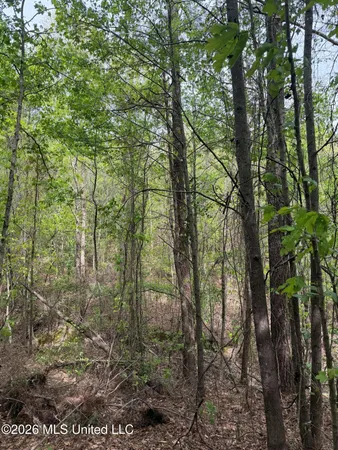 $60,900 | Old Jackson Road, De Kalb, MS 39328