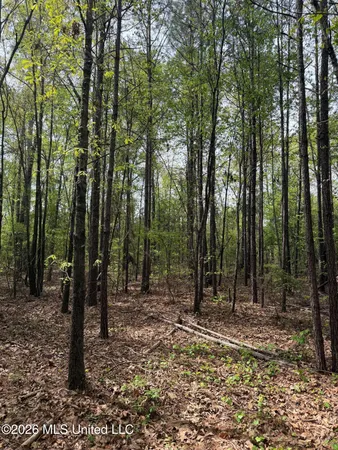 $60,900 | Old Jackson Road, De Kalb, MS 39328