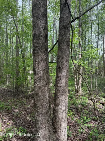 $60,900 | Old Jackson Road, De Kalb, MS 39328